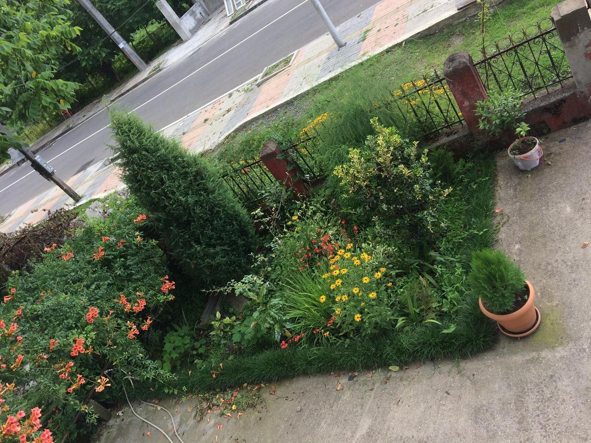Natia Guest House Kobuleti Exterior foto
